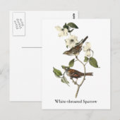 White-throated Sparrow - John Audubon Briefkaart (Voorkant / Achterkant)