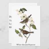 White-throated Sparrow - John Audubon Kaart (Voorkant / Achterkant)