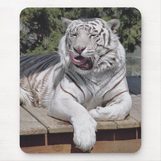 White Tiger 10 Mousepad Muismat (Voorkant)
