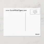 White Tiger Briefkaart (Achterkant)
