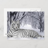 White TIger Briefkaart (Voorkant / Achterkant)