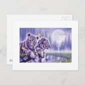 White Tiger Cubs Briefkaart (Voorkant / Achterkant)