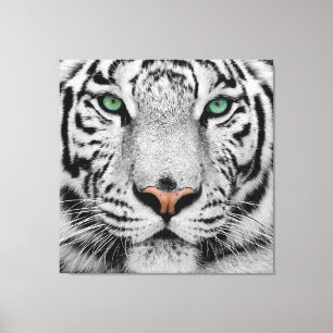 WHITE TIGER FACE CLOSE-UP CANVAS AFDRUK