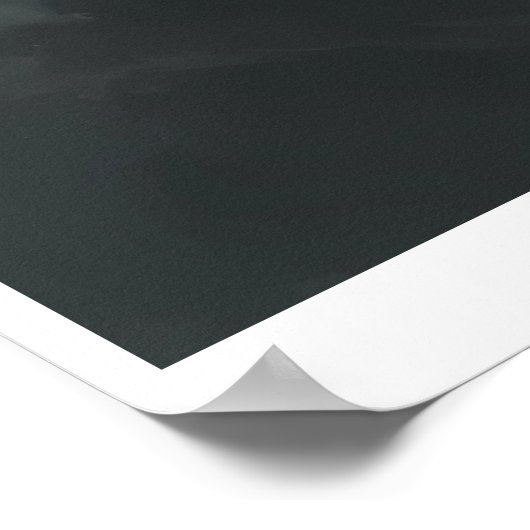 White Tiger – Frost King Ice Burst Descent – ManJi Poster (Hoek)