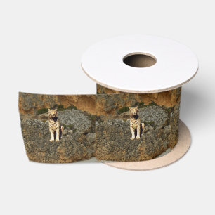 White Tiger Lookout Lint