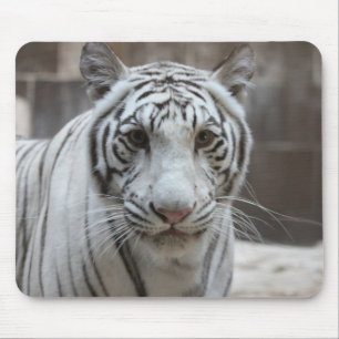 White Tiger mousepad Muismat