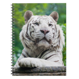 White Tiger notebook Notitieboek