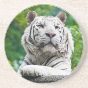 White Tiger onderzetter