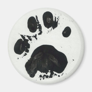 White Tiger Paw Print Magnet Magneet