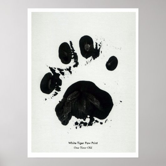 White Tiger Paw Print Poster (Voorkant)