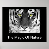 White Tiger Poster (Voorkant)