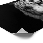 White Tiger Poster (Coin)