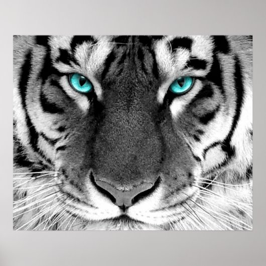 White Tiger Poster Eyes (Voorkant)