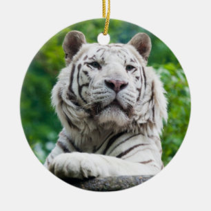 White Tiger-sierplant Keramisch Ornament