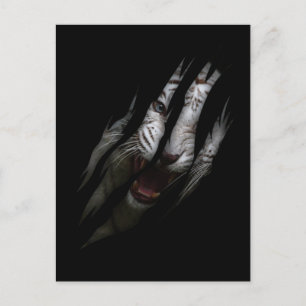 White Tiger Torn Claw Wild Safari Animal Cat Briefkaart