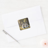 White Tigers Serenity – Minimal Wildlife Sticker (Enveloppe)