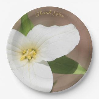 White Trillium Flower Large Paper Bord