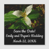 White Trillium Flower Spring Wilde (Voorkant)