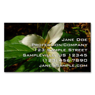 White Trillium Flower Spring Wilde Magnetisch Visitekaartje