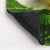 White Trillium Flower Spring Wilde Muismat (Hoek)