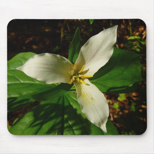 White Trillium Flower Spring Wilde Muismat (Voorkant)