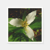 White Trillium Flower Spring Wilde Servet (Voorkant)