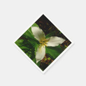 White Trillium Flower Spring Wilde Servet (Hoek)