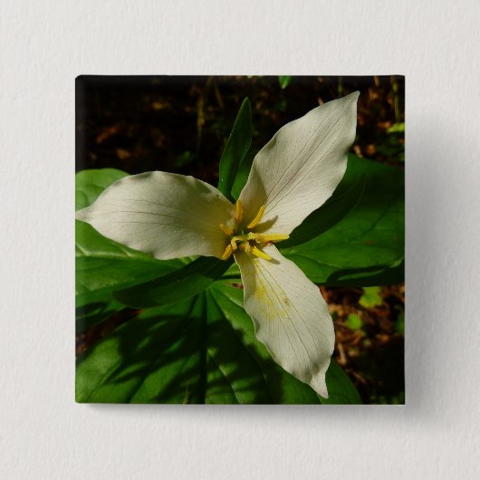 White Trillium Flower Spring Wilde Vierkante Button 5,1 Cm (Voorkant)