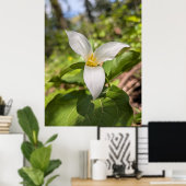 White Trillium Forest Flower Macro Poster (Thuiskantoor)