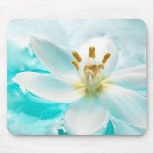 White Tulip Flower Blue Water Pond Aqua Turquoise Muismat