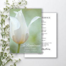 White Tulip Flower Spring begrafenis herdenkingsdi