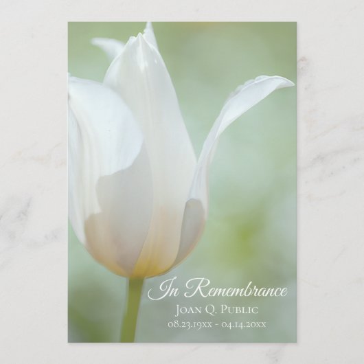 White Tulip Flower Spring begrafenis herdenkingsdi Programma (Voorkant)