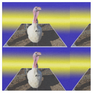 White Turkey Popout Art, Stof