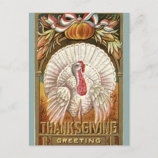  White Turkey Pumpkin and Bow Briefkaart (Voorkant)