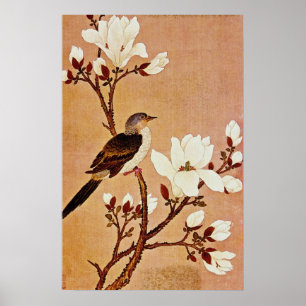 White Turtledove on Flowering Branch, Chiang T'ing Poster