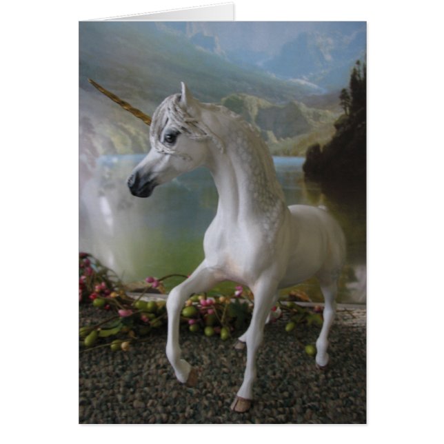 White Unicorn (Voorkant)