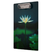 White Water Lily Flower Klembord (Links)