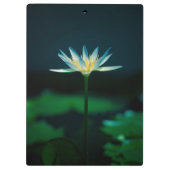 White Water Lily Flower Klembord (Achterkant)