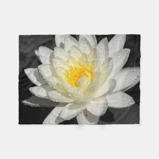 White Water Lily Foto Fleece Deken (Voorkant (Horizontaal))