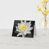 White Water Lily Foto Kaart (Gele Bloem)