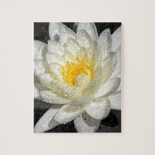 White Water Lily Foto Legpuzzel (Verticaal)