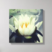 White Water Lily Lotus Blossom Flower Canvas Afdruk (Voorkant)