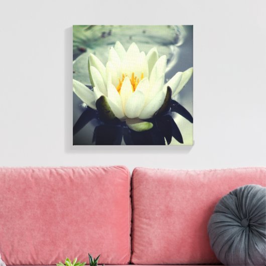 White Water Lily Lotus Blossom Flower Canvas Afdruk (Insitu (Woonkamer))