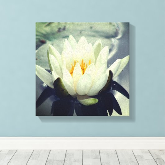 White Water Lily Lotus Blossom Flower Canvas Afdruk (Insitu (Houten vloer))