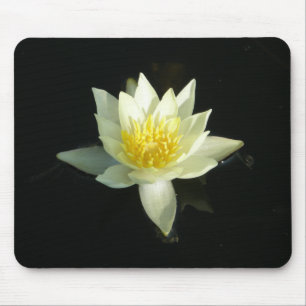 White Water Lily/Lotus Muismat