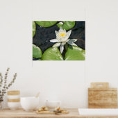 White Water Lily Poster (Keuken)