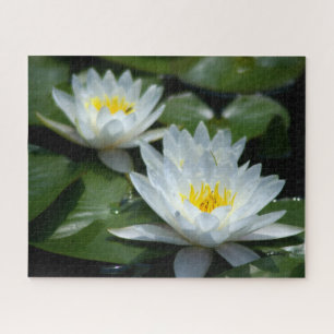 White Waterlilies Jigzaag Puzzle Legpuzzel