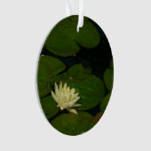 White Waterlily I Peaceful (devant)