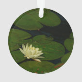 White Waterlily I Peaceful (dos)