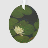 White Waterlily I Peaceful (devant)